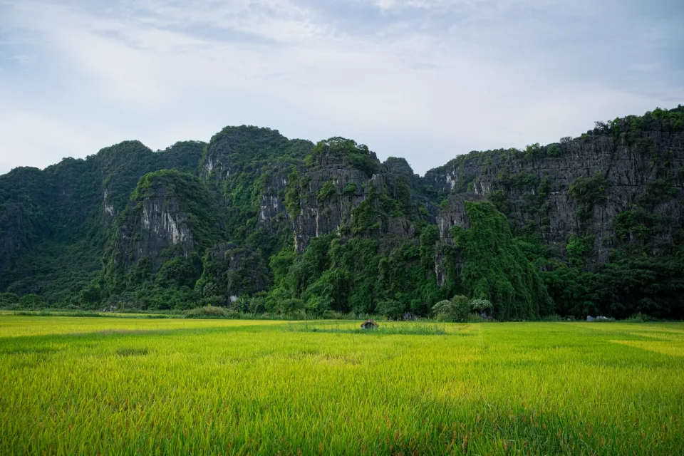 Kho gạo của Thị Minh